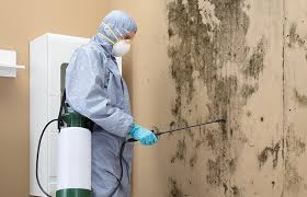 Forensic Mold Investigation in Gordon, PA